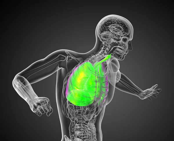 男性 respiratort システムの 3 d レンダリングされたイラストレーション — ストック写真