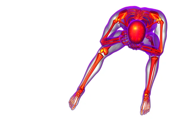 3d face ilustrație medicală a osului scheletului — Fotografie, imagine de stoc
