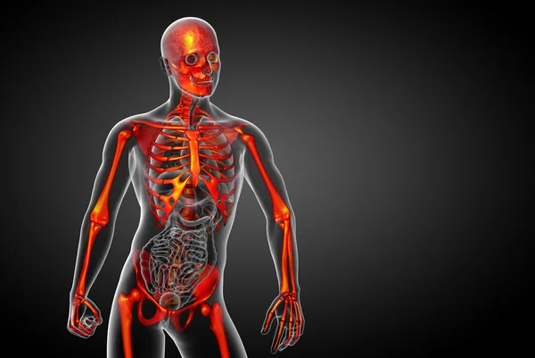 3d rendere illustrazione medica dello scheletro osseo — Foto Stock