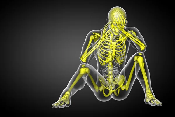3D vykreslení lékařské ilustrace skelet kosti — Stock fotografie