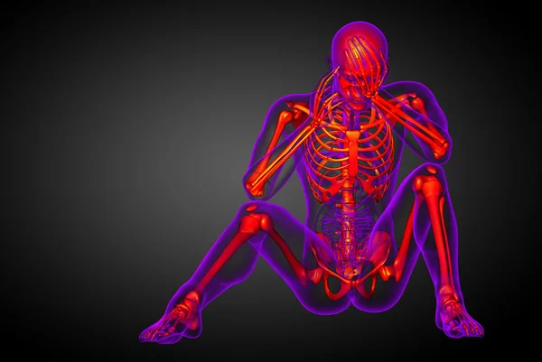 3d 渲染医学插图的骷髅骨 — 图库照片
