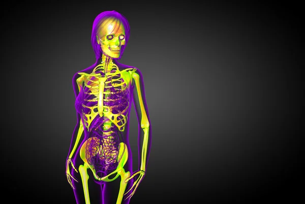 3d gøre medicinsk illustration af skelettet knogle - Stock-foto