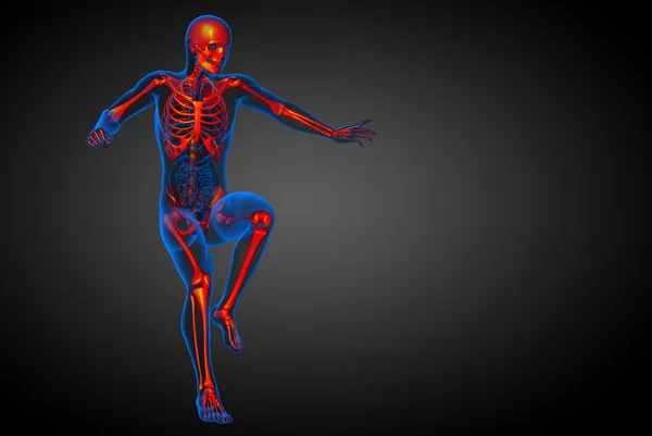 3d renderizar la ilustración médica del hueso esqueleto —  Fotos de Stock