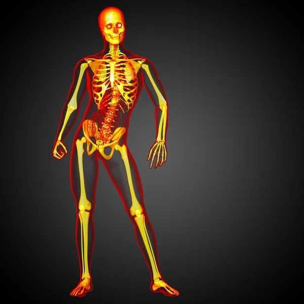 3d 渲染医学插图的骷髅骨 — 图库照片