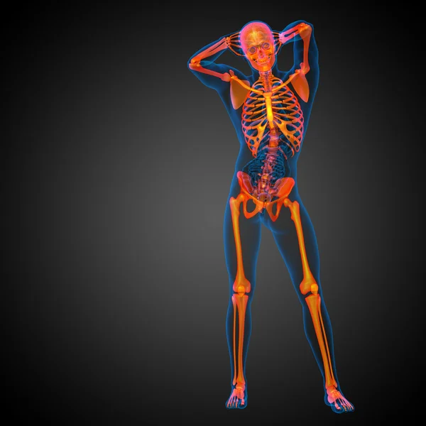 3D καθιστούν ιατρική απεικόνιση του οστού σκελετός — Φωτογραφία Αρχείου