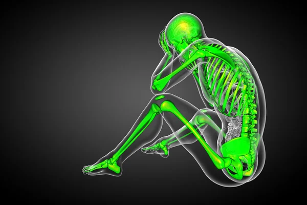3d 渲染医学插图的骷髅骨 — 图库照片