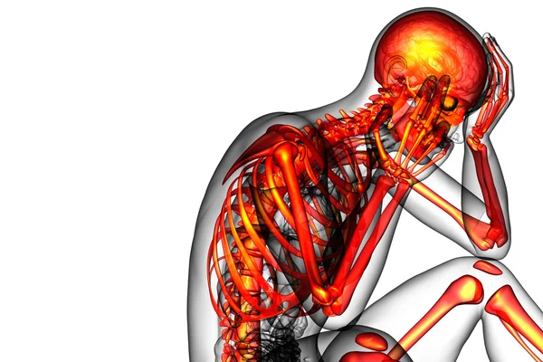 3D göra medicinsk illustration av skelett ben — Stockfoto