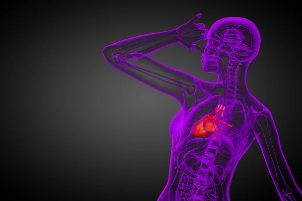 一个人的心的 3d 呈现医疗插图 — 图库照片