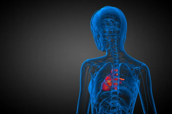 3D gesmolten medische illustratie van een menselijk hart — Stockfoto