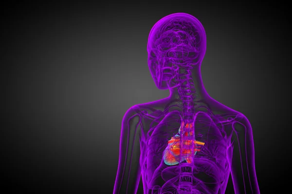 3D gesmolten medische illustratie van een menselijk hart — Stockfoto