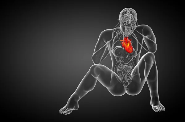 3D gesmolten medische illustratie van een menselijk hart — Stockfoto