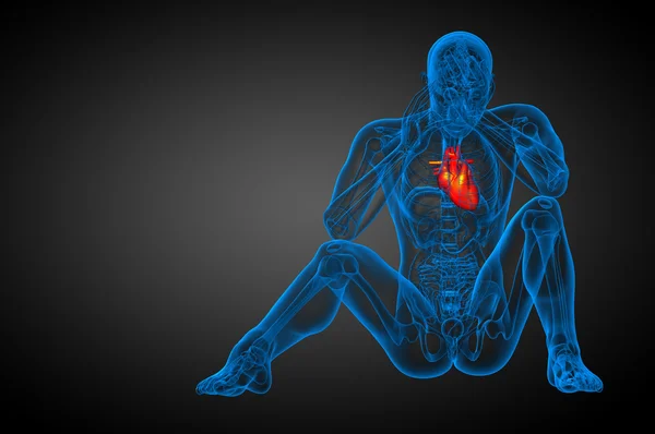 3d hecho ilustración médica de un corazón humano — Foto de Stock