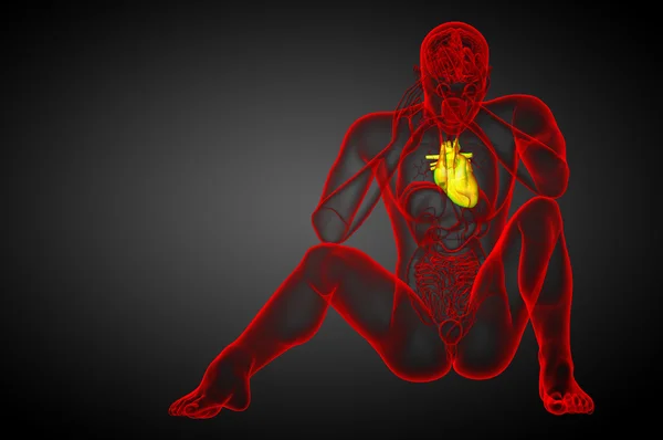 3D gesmolten medische illustratie van een menselijk hart — Stockfoto