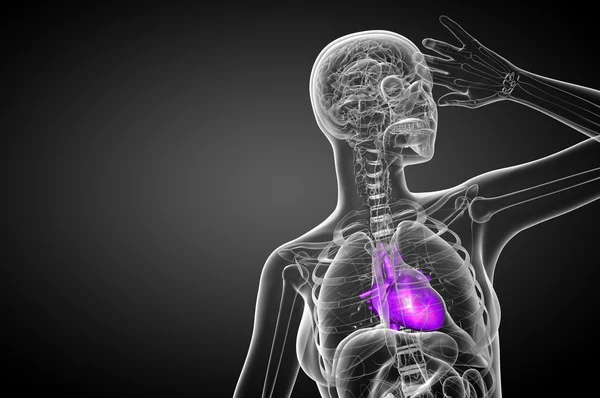 3d hecho ilustración médica de un corazón humano — Foto de Stock