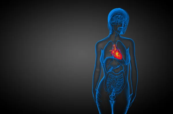 3D gesmolten medische illustratie van een menselijk hart — Stockfoto