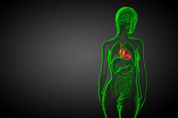 3D utsmält medicinsk illustration av ett mänskligt hjärta — Stockfoto