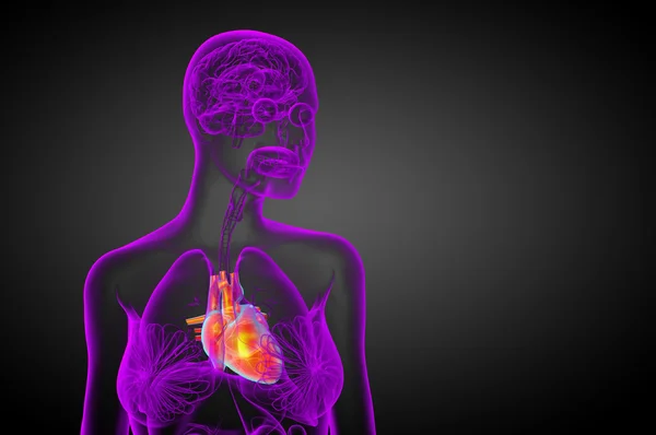 3D gesmolten medische illustratie van een menselijk hart — Stockfoto