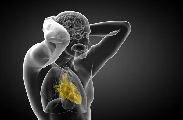3d hecho ilustración médica de un corazón humano —  Fotos de Stock
