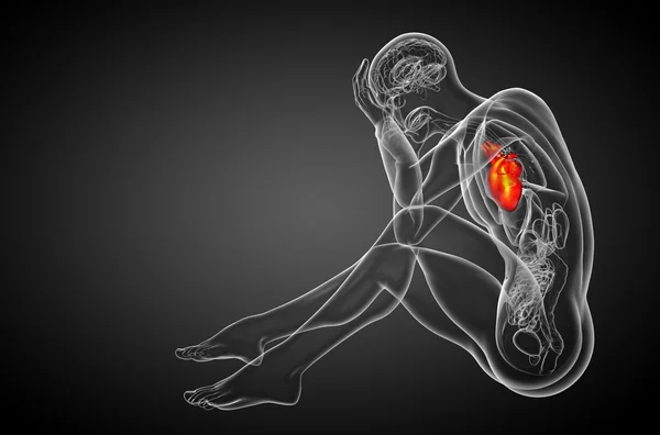 3d оказана медицинская иллюстрация человеческого сердца — стоковое фото