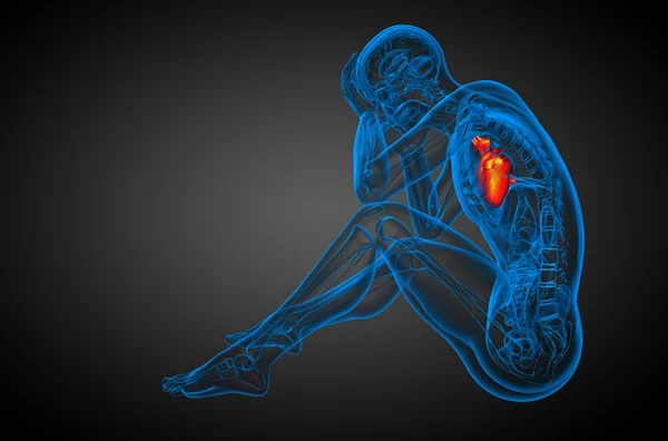 3d reso illustrazione medica di un cuore umano — Foto Stock