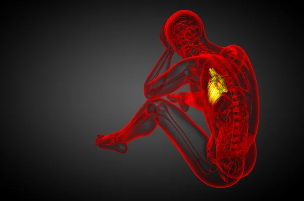 3D gesmolten medische illustratie van een menselijk hart — Stockfoto