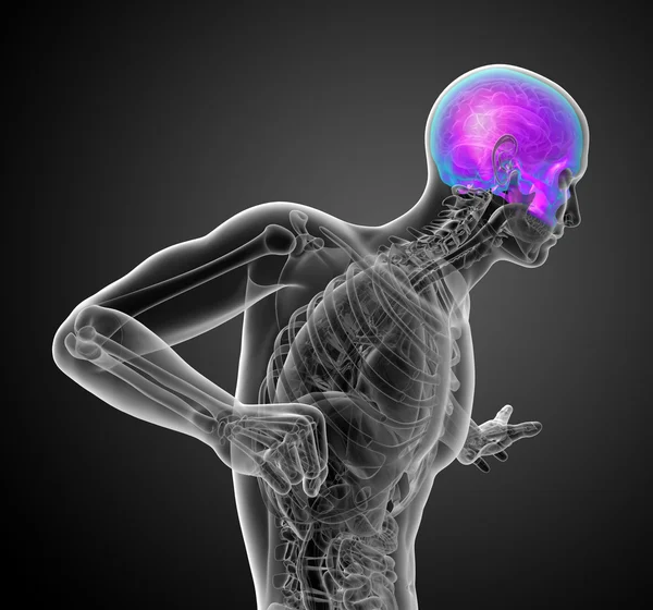 3d hacer ilustración médica de la parte superior del cráneo — Foto de Stock