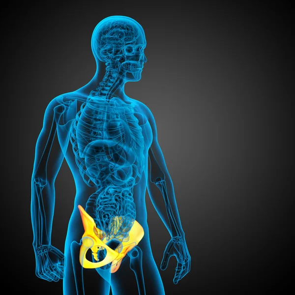 3D illustrazione medica dell'osso dell'anca — Foto Stock