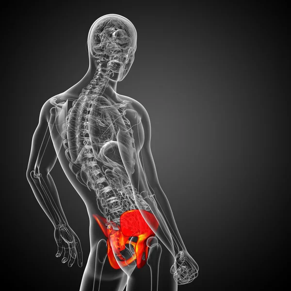 3D ιατρική απεικόνιση των οστών του ισχίου — Φωτογραφία Αρχείου