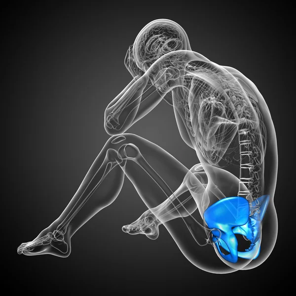3D medizinische Illustration des Hüftknochens — Stockfoto