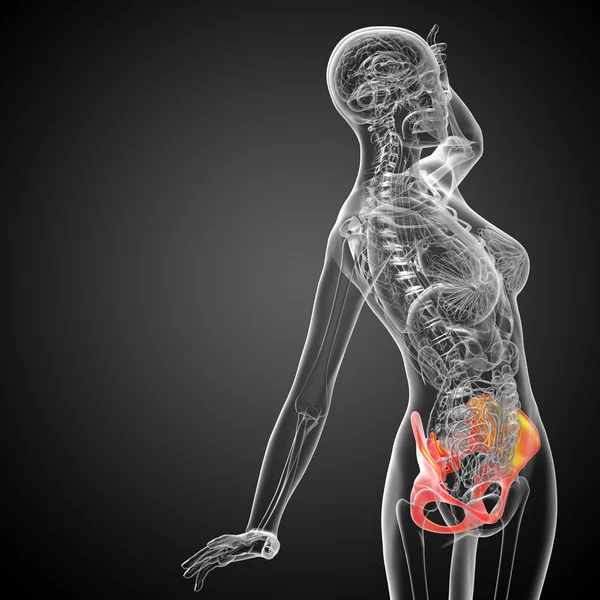 3D medical illustration of the hip bone — Stock Photo, Image