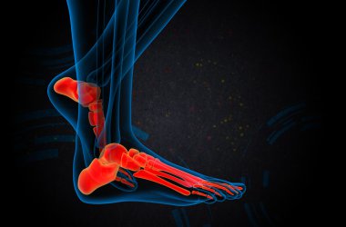 3D render Medikal illüstrasyon ayak kemik