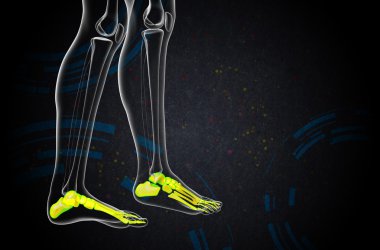 3D render Medikal illüstrasyon ayak kemik