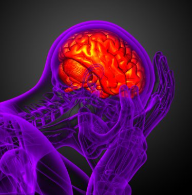 Beynin 3 boyutlu medikal çizimi