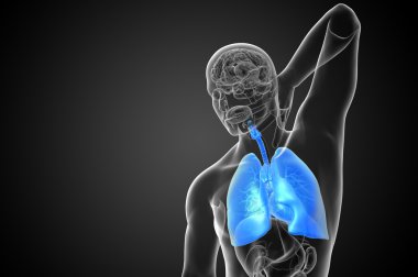 respiratort sisteminin işlenmiş illüstrasyon 