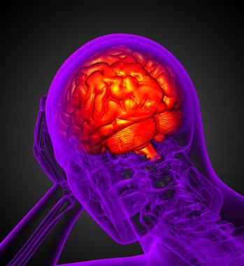 Beynin 3 boyutlu medikal çizimi