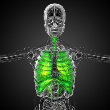 respiratort sisteminin işlenmiş illüstrasyon 
