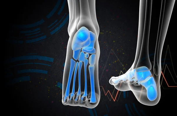 3d render medical illustration of the foot bone — Stock Photo, Image