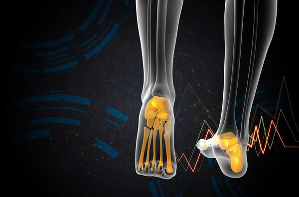 3d hacer ilustración médica del hueso del pie — Foto de Stock