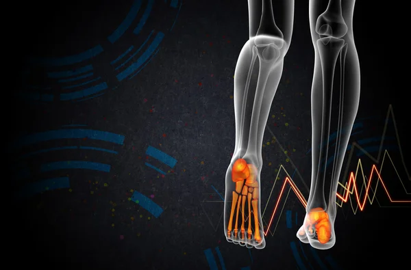 3d render medical illustration of the foot bone — Stock Photo, Image