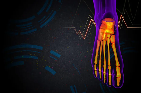 3D καθιστούν ιατρική απεικόνιση του οστού πόδι — Φωτογραφία Αρχείου