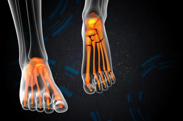 3d render medical illustration of the foot bone — Stock Photo, Image