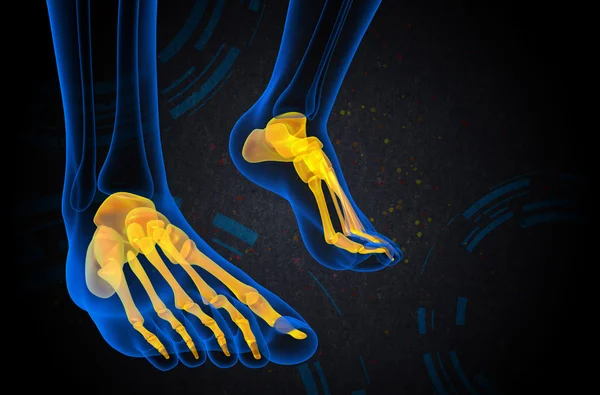 3d render medical illustration of the foot bone — Stock Photo, Image