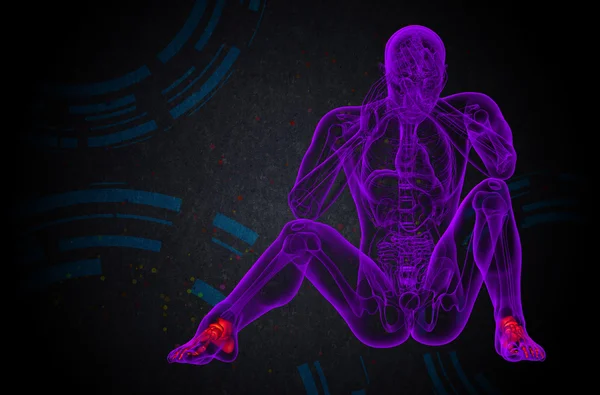 3D рендеринг медицинской иллюстрации кости стопы — стоковое фото