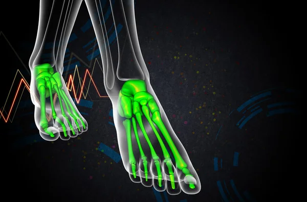 3d tornar ilustração médica do osso do pé — Fotografia de Stock