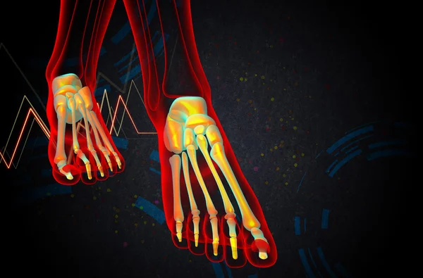 3d render medical illustration of the foot bone — Stock Photo, Image