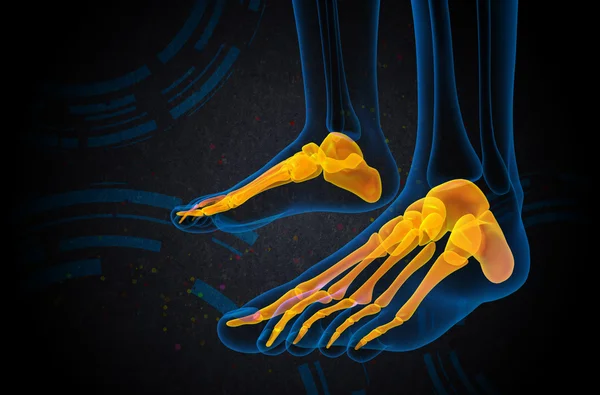3D render ilustracja kości stóp — Zdjęcie stockowe