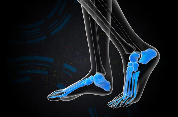 3d rendre illustration médicale de l'os du pied — Photo