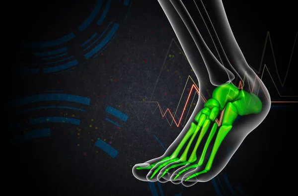 3d hacer ilustración médica del hueso del pie —  Fotos de Stock