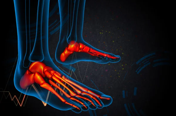 3D рендеринг медицинской иллюстрации кости стопы — стоковое фото