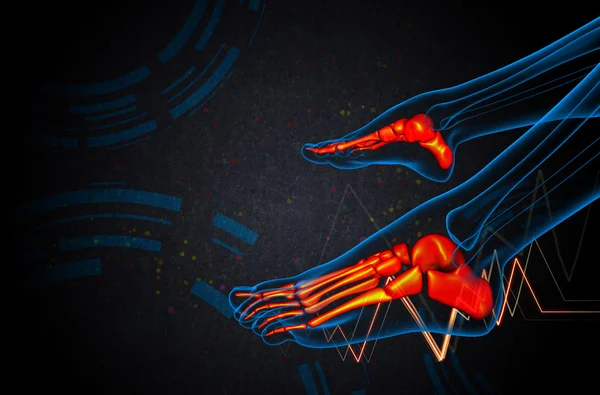 3D göra medicinsk illustration av fot ben — Stockfoto